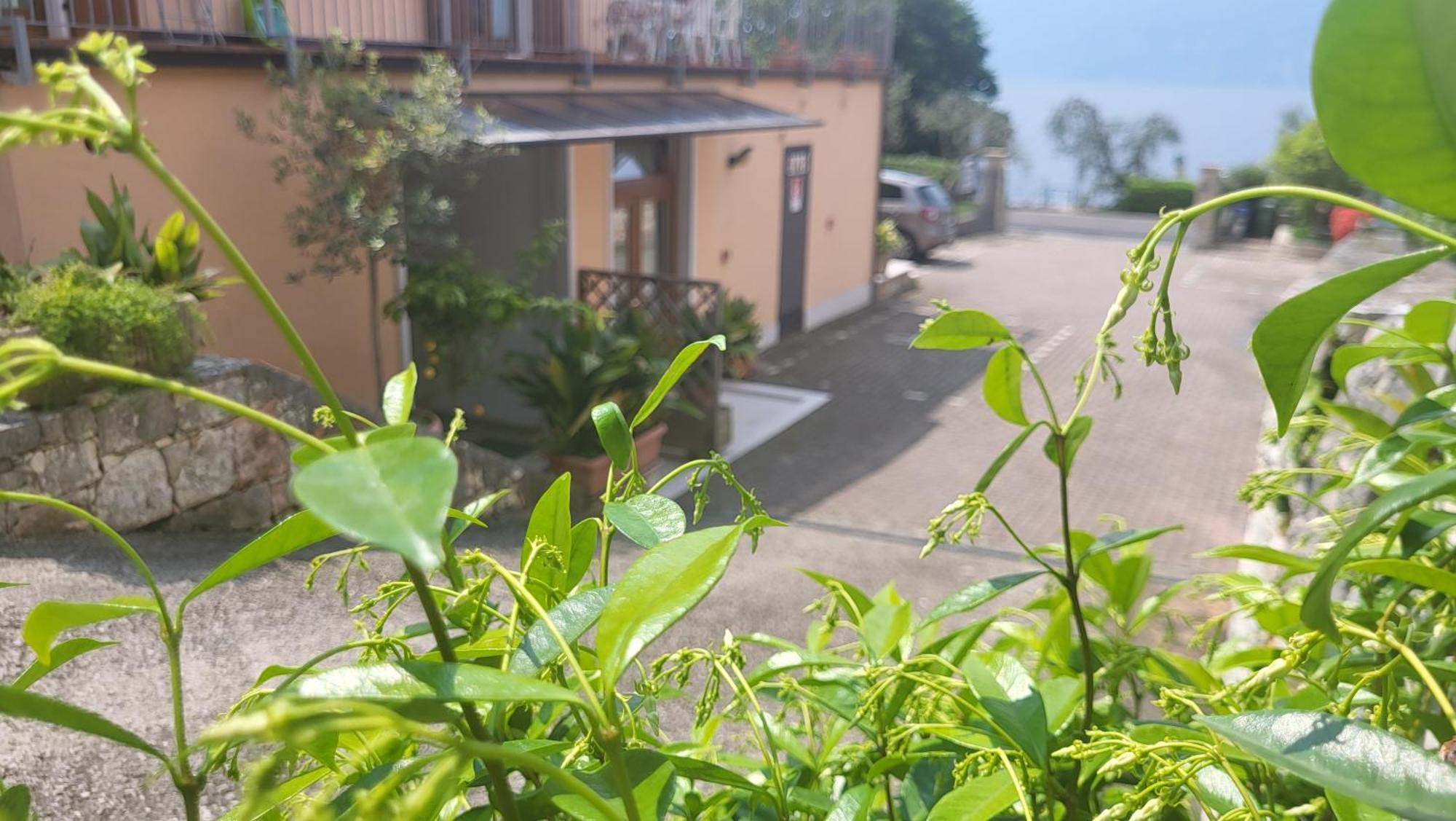 Residence Villa Margherita Бренцоне-суль-Гарда Экстерьер фото
